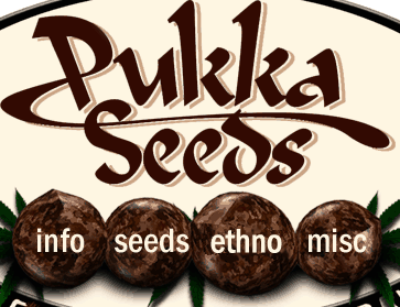Cannabis Seeds (Marijuana Seeds)